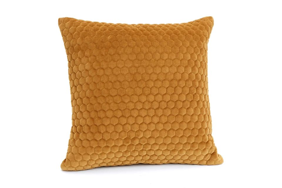 Rhodes Velvet Pillow