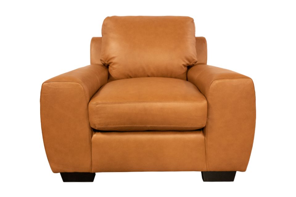 Leather Living Chair