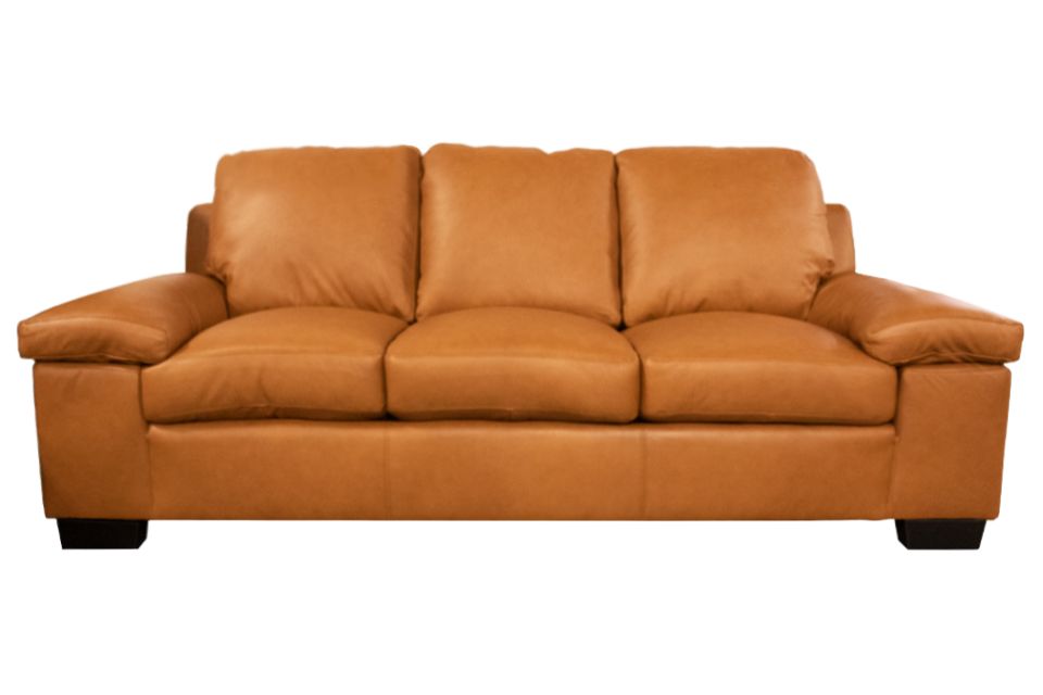 Leather Living Sofa