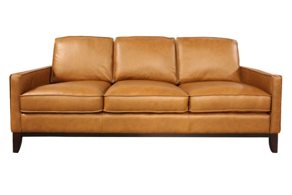 Behold Leather Sofa