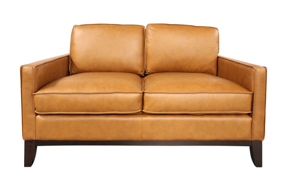 Behold Leather Loveseat